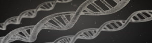 DNA Doppelhelix – biologische Kriminalitaetstheorien