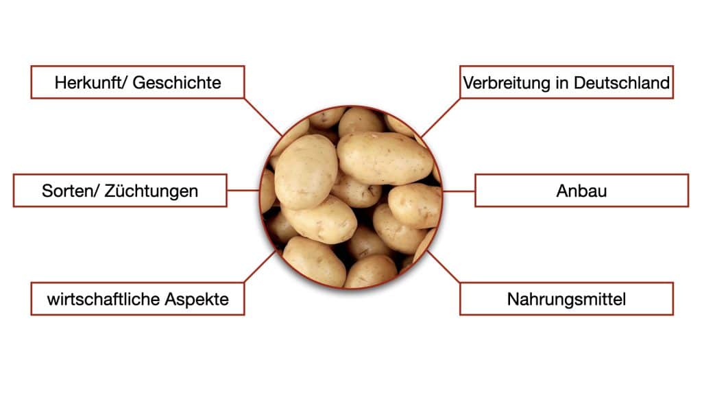 Brainstorming-Übung "Die Kartoffel" kann helfen ein Bachelorarbeitsthema zu finden und eine Fragestellung zu entwickeln