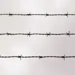 Angela Y. Davis – Are Prisons Obsolete? (2003) Davis-Are-Prisons-Obsolete