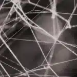 Theorienfinder