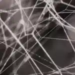 Theorienfinder auf Soztheo