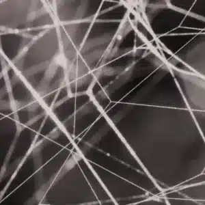 Neu auf SozTheo: Der interaktive Theorienfinder für Kriminalitätstheorien
