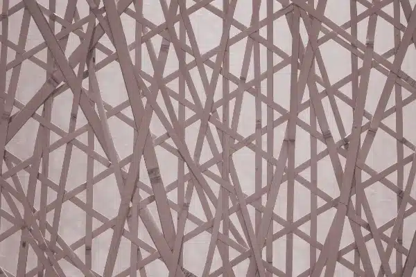 Abstraktes Liniengeflecht als Symbol für die Struktur soziologischer Theorien und gesellschaftlicher Beziehungen