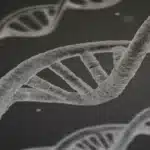 Biologische Kriminalitätstheorien Biologische Kriminalitätstheorien: DNA-Strang als Symbol für genetische und neurologische Ursachen von Kriminalität