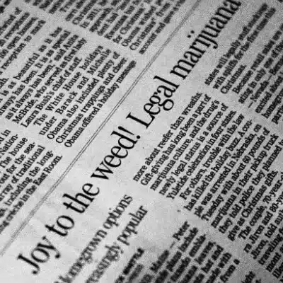 Zeitungsartikel über Cannabis-Legalisierung als Beispiel für Diskursanalyse