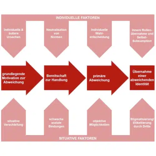 schematische Darstellung des Karrieremodells nach Henner Hess