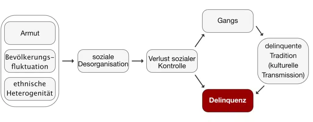 Schema der Theorie der sozialen Desorganisation nach Shaw und McKay: Strukturelle Faktoren wie Armut, Bevölkerungsfluktuation und ethnische Heterogenität führen zu sozialer Desorganisation, schwächen soziale Kontrolle und begünstigen Delinquenz sowie delinquente Traditionen.