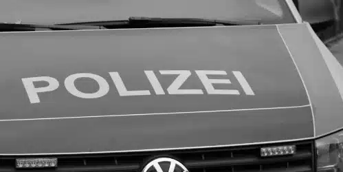Medien und Kriminalität – Darstellung von Polizei, Strafe und Kontrolle
