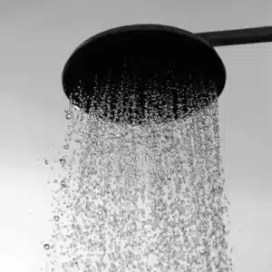 Duschkopf mit herabfallendem Wasser als ikonische Anspielung auf die berühmte Duschszene aus Psycho (1960)