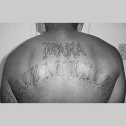Rücken eines Mara-Salvatrucha-Mitglieds mit großflächigen Gang-Tätowierungen