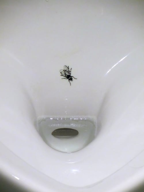Ein Urinal mit einer aufgedruckten Fliege in der Keramik sorgt dafür, dass Männer zielgenauer urinieren.