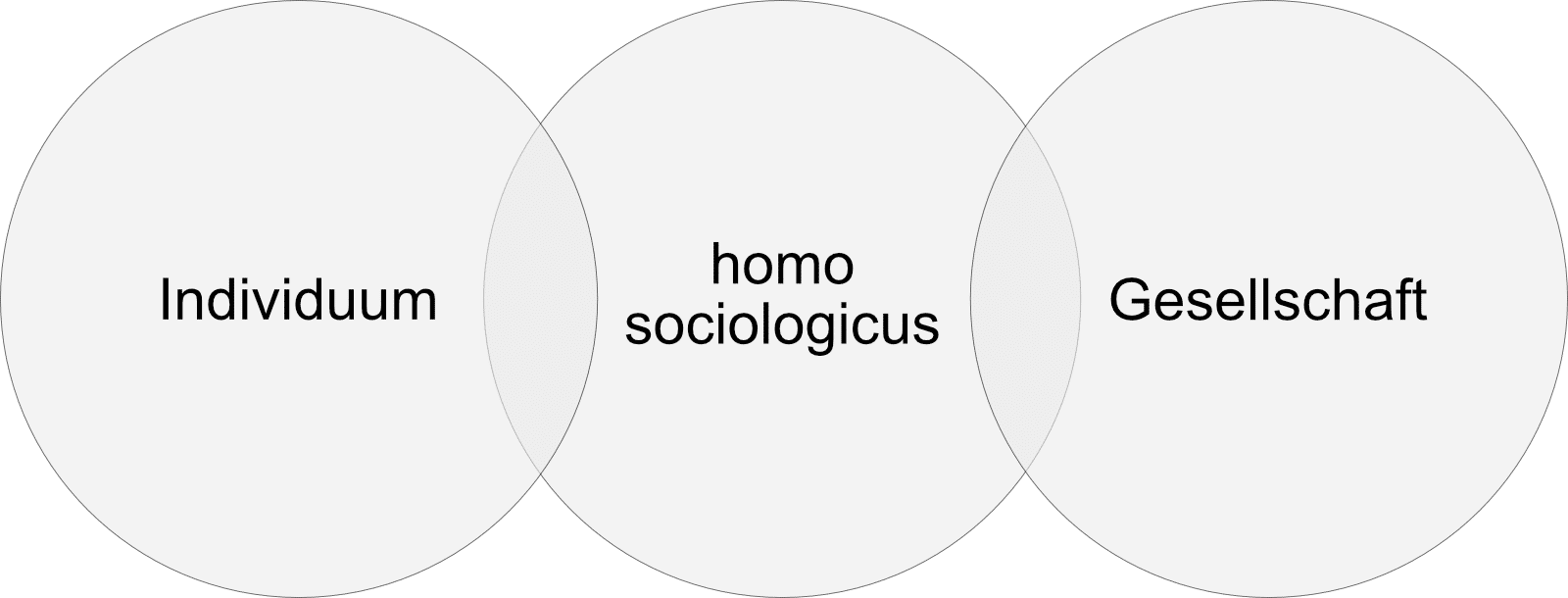 Schaubild homo sociologicus