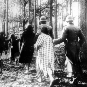 Polnische Frauen werden von deutschen Polizisten durch einen Wald zu einer Massenexekution geführt